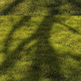 Grass Landscape Free Download