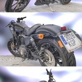 Harley Davidson IRON 883 3D Model Free Download