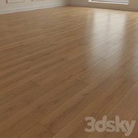 Laminate Parquet 160 Free Download