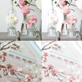 Lightroom Presets Blush Free Download