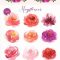 Mayflower Floral Watercolor clipart 1471777 Free Download