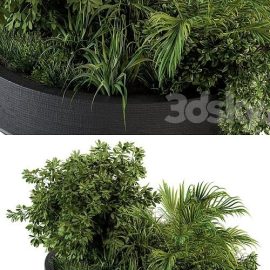 Outdoor Plants tree in Concrete Pot Set 144 Free Download