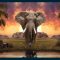 Skillshare – Advanced photo manipulation The Mysterious elephant Adobe Photoshop 2022 Free Download