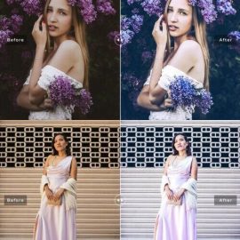 Ube Pro Lightroom Presets Free Download