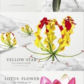 120 Watercolor Floral Bundle Free Download