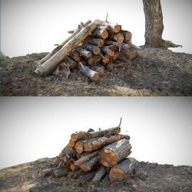 A stack of sawn logs Scan Free Download