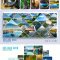 Collage photo effect template 3xPSD Free Download