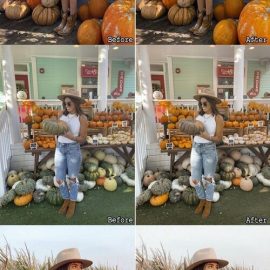 CreativeMarket 5 Pumpkin Pie Lightroom Presets 10286441 Free Download