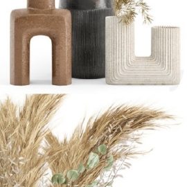 Dry plants 19 Dried Plantset Pampas with Concrete vase Free Download