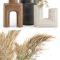 Dry plants 19 Dried Plantset Pampas with Concrete vase Free Download