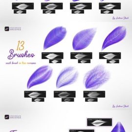 Feathers Procreate Brushes Free Download