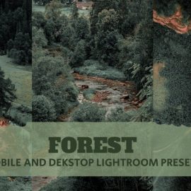 Forest Lightroom Presets Dekstop and Mobile Free Download