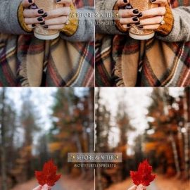 GOLDEN FALL Rustic Warm Lightroom Presets Free Download