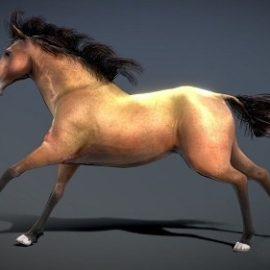 Horse Spanish Mustang Brown Free Download