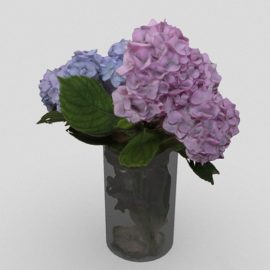 Hydrangea in Glass Vase 3D Model Free Download