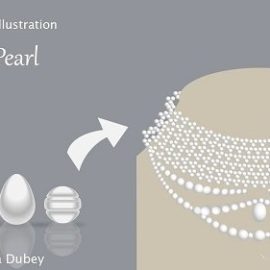 Learn Pearl Illustration : Digital Jewelry Illustration for Beginners : Create Pearl Necklace