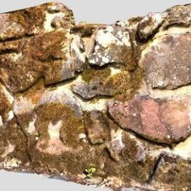 Mossy Stone Wall 04 Kokapu Hungary PBR Free Download