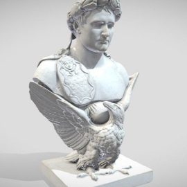 Napoleon Bust Free Download