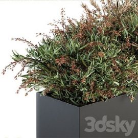 Outdoor Plant Set 166 Plant Box Bush Free Download