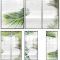 Phyto Glass Partition Free Download