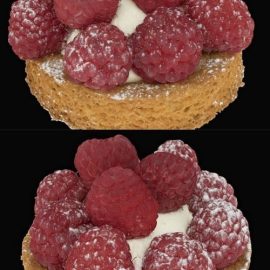 Raspberry tartelette 3D Model Free Download