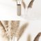 Set of pampas in vase Free Download