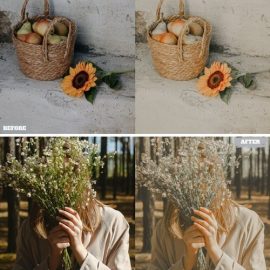 Soft Hazel Lightroom Presets Dekstop and Mobile LS4HS28 Free Download