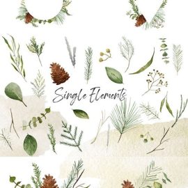 Watercolor Winter Greenery PNG Cliparts Pack Free Download