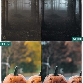 Woodland Spooky Tones LIMITED Lightroom Presets Pack Free Download