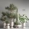 indoor plant set 26 Free Download