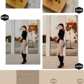 12 Autumn Splendor Lightroom Presets Free Download