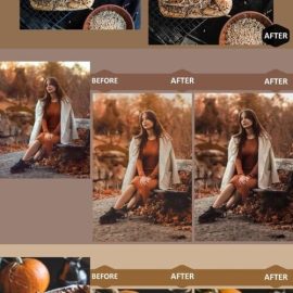 12 Golden Fall Days Lightroom Presets Free Download