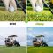 7 Golf Lightroom Presets Photoshop Free Download