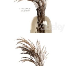 A bouquet of dry plants Free Download