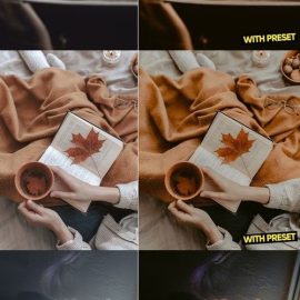 ARTA Matte Film Presets for Lightroom Free Download