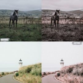 Airy Scene Lightroom Presets Dekstop and Mobile Free Download