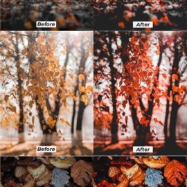 Autumn Story Lightroom Presets Free Download