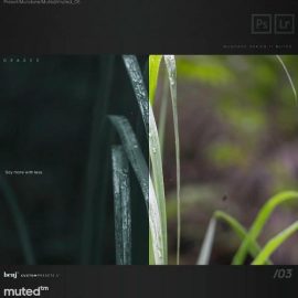 Benj Villena Presets Bundle Muted & Expanded Free Download