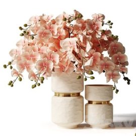 Bouquet of pink orchids in a modern beige vase Free Download