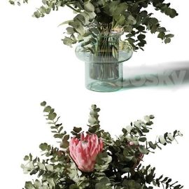 Bouquet with three pink proteas and eucalyptus in a glass vase Free Download