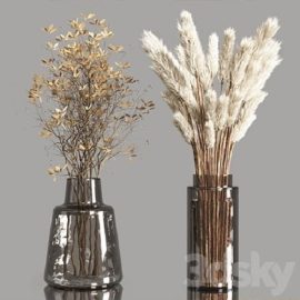 Collection Dry Plants Bouquet Indoor 02 Free Download