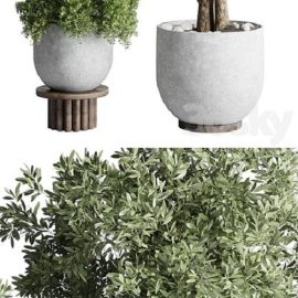 Collection Outdoor Indoor plant 52 concrete dirt vase pot tree Free Download