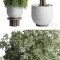 Collection Outdoor Indoor plant 52 concrete dirt vase pot tree Free Download