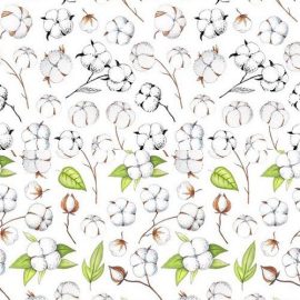 Cotton Flowers Handdrawn Set Free Download