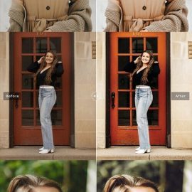 CreativeMarket Brown Agate Pro Lightroom Presets 10846734 Free Download