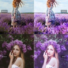 Creativemarket Charoite Pro Lightroom Presets 10853057 Free Download