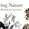 Drawing Nature – Five Creative Sketchbook Activities