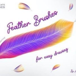 Feathers Procreate Brushes Free Download