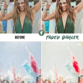 Festival Lightroom Presets Photoshop Free Download