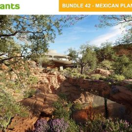 Globe Plants – Bundle 42 Mexican Plants 02 Free Download